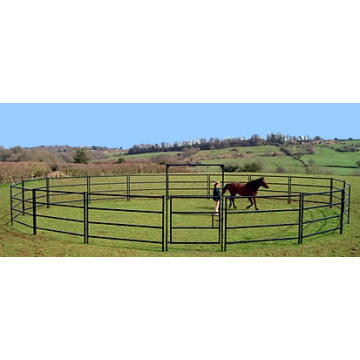 Round Farm Corral Stall para Cavalo